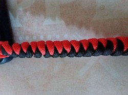 Cobra