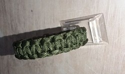 Para